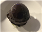 chocolate sorbet